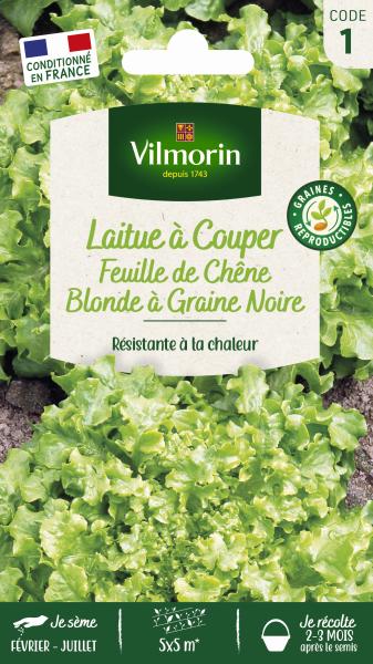 Potagères - Laitue à Couper Feuille de Chêne Blonde à Graine Noire - PACKAGING_RECTO